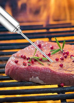 BBQ Meat Injector Seasoning Needle