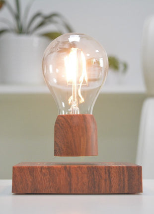 Magnetic Levitation Lamp