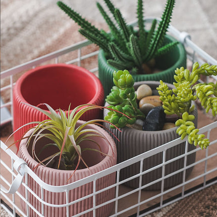 Creative Morandi Color Succulent Cylindrical Flower