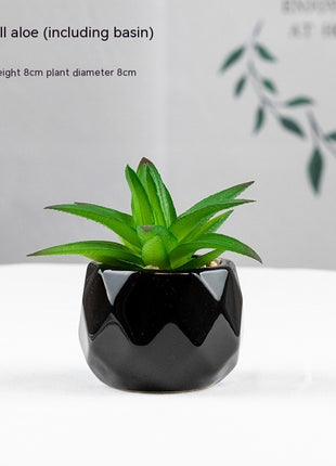 Artificial Succulent Plant