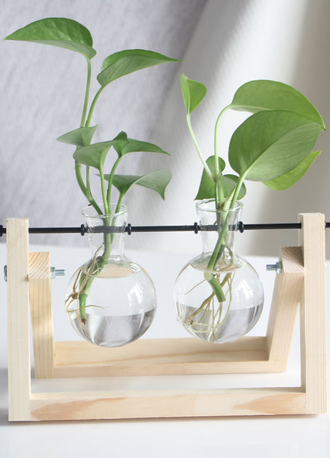 Marco de madera creativo con flores de vidrio hidropónico, planta verde