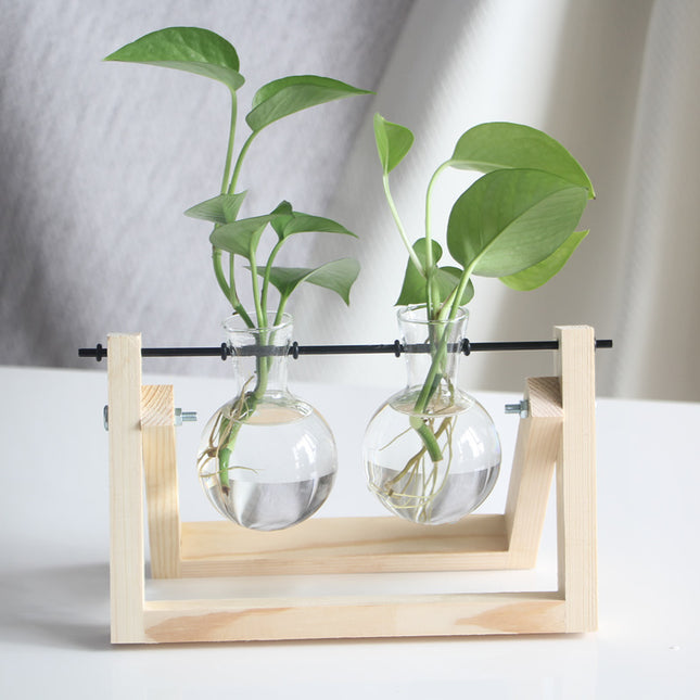 Creative Wooden Frame Hydroponic Glass Flower Plant Green