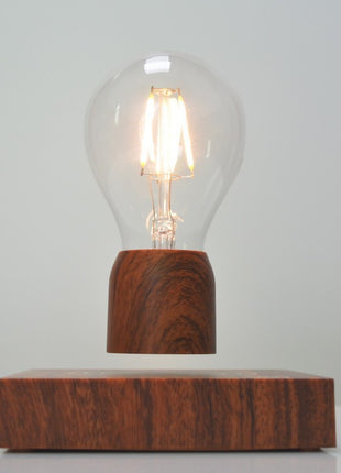 Magnetic Levitation Lamp