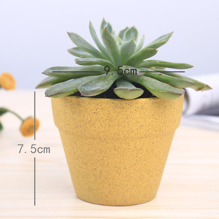 Macaron series flower pot