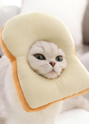 Funny Toast Cat Hat ⭐