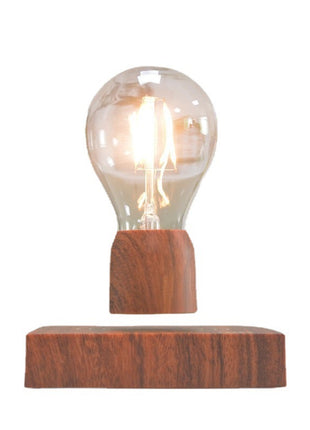 Magnetic Levitation Lamp