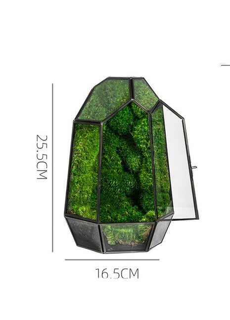 Green Plant Ecological Bottle Potted Plants