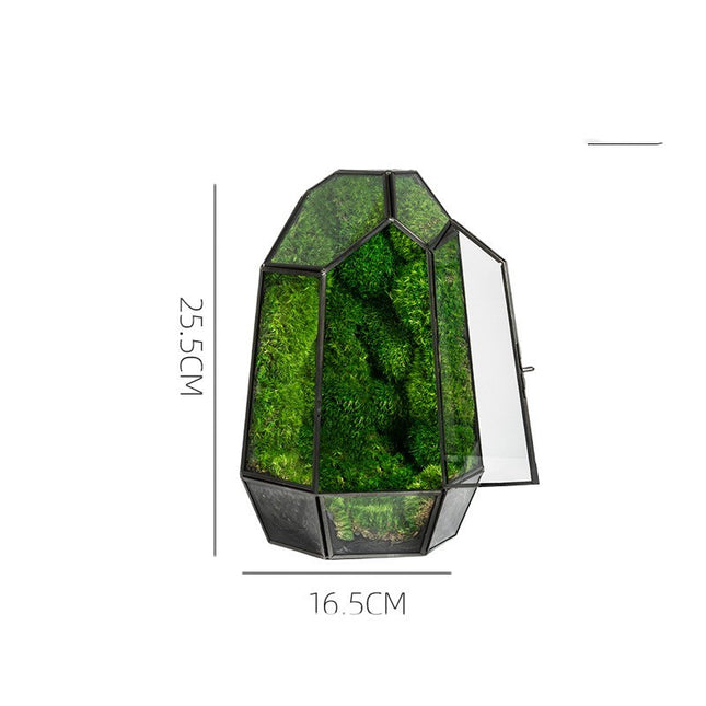 Green Plant Ecological Bottle Potted Plants