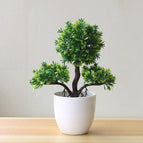 Tipo A1