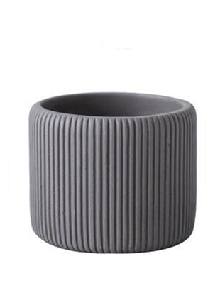 Flor cilíndrica suculenta de color Morandi creativa