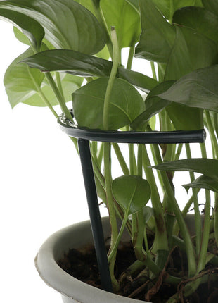 Jaula de soporte para plantas trepadoras de flores DIY