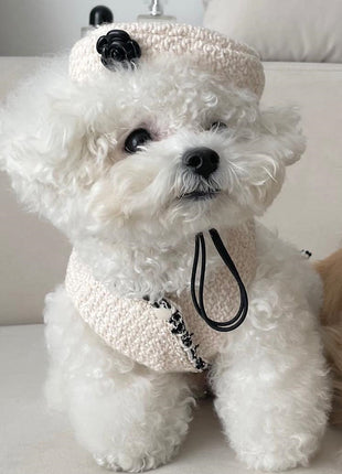 Accesorios para mascotas, perros y gatos, gorro de punto