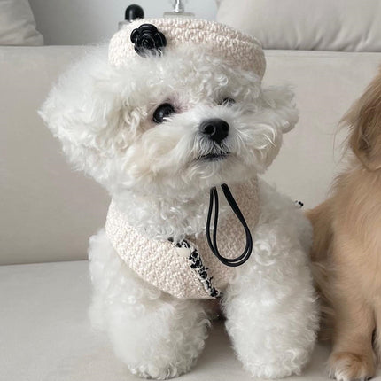 Accesorios para mascotas, perros y gatos, gorro de punto