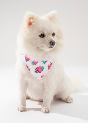 Accesorios de ropa para mascotas, gatos y perros