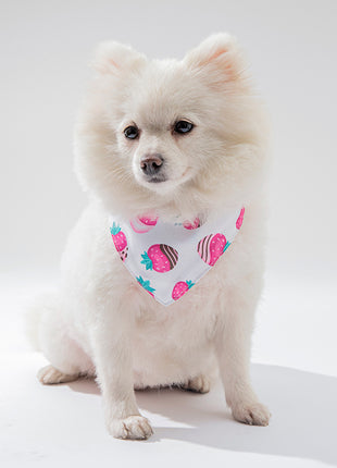 Accesorios de ropa para mascotas, gatos y perros