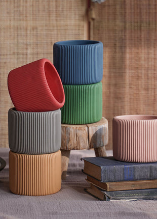 Flor cilíndrica suculenta de color Morandi creativa