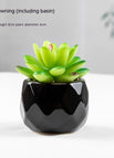 Gem Connection Pot Included