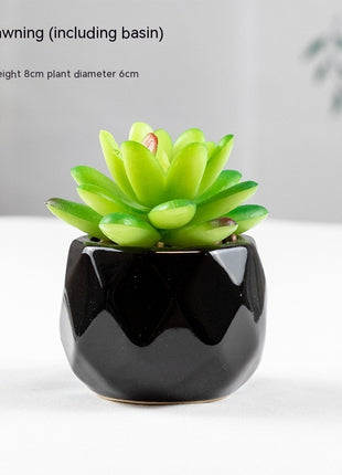 Artificial Succulent Plant