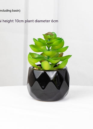 Artificial Succulent Plant