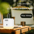 Misty White / USB