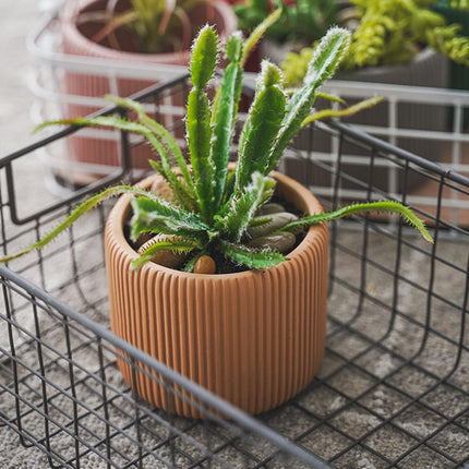 Creative Morandi Color Succulent Cylindrical Flower