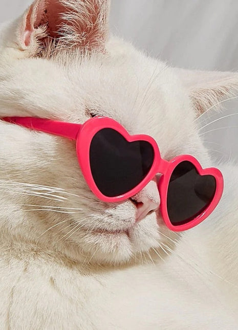 Doll Sunglasses Pet Toy Accessories