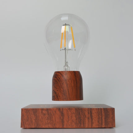 Magnetic Levitation Lamp