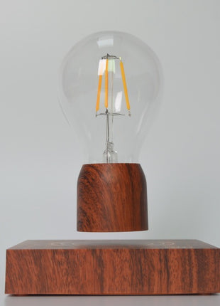 Magnetic Levitation Lamp