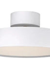 30CM Segment Three Colors / White