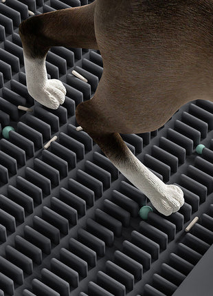Cat Litter Box Catch Mat