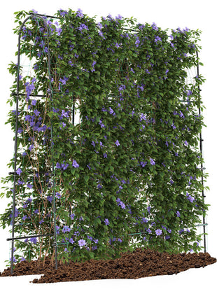 U-Shaped Garden Trellis