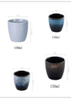 Whole 1set