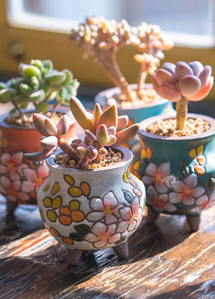 Mini macetas de cerámica pequeñas y creativas para plantas verdes de interior