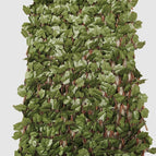 Dark Green / 40cm