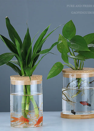 Hydroponic Glass Vase