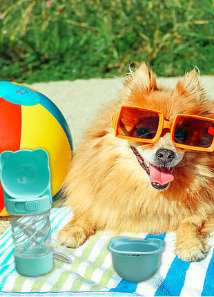 Portable Dog Water Bottle
