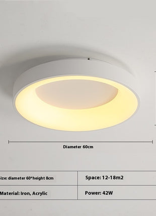 Modern Minimalist Ceiling Light