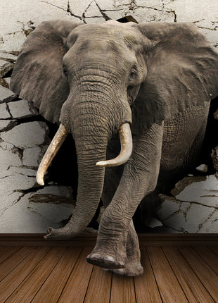 Elephant Canvas Wall Art