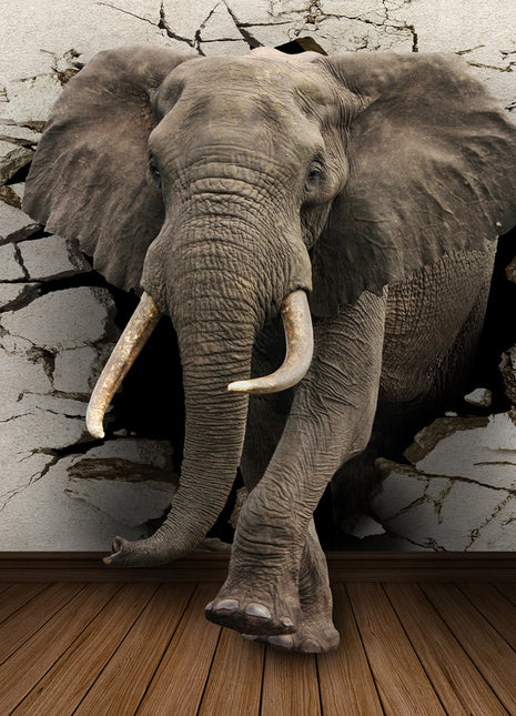 Elephant Canvas Wall Art