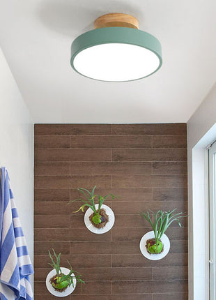 Modern Hallway Ceiling Light