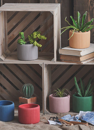 Flor cilíndrica suculenta de color Morandi creativa