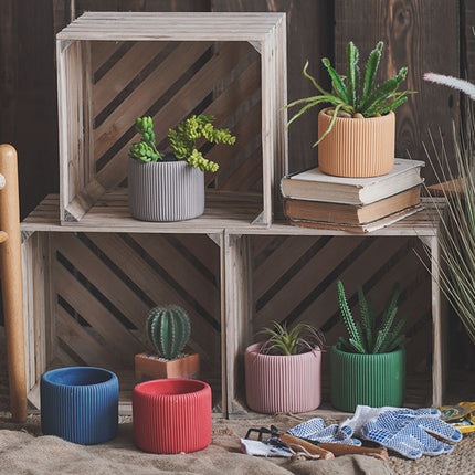 Creative Morandi Color Succulent Cylindrical Flower