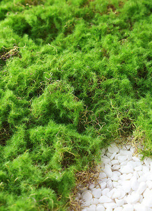 Artificial Moss Mat