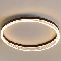 Modern Ceiling Light ⭐