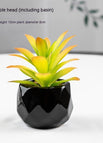 Pineapple Head Pot Included