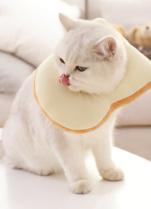 Funny Toast Cat Hat ⭐