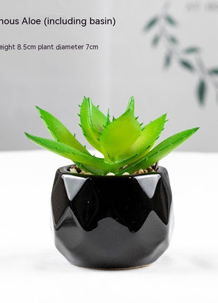 Artificial Succulent Plant