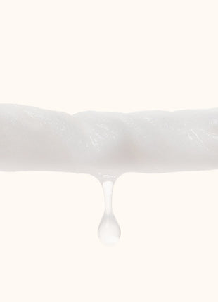 Pet Wipes Cat Dog Wipes