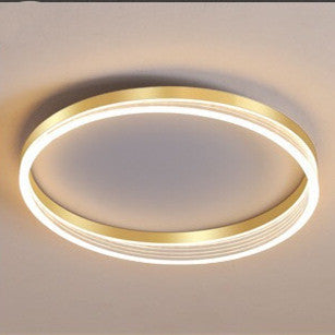 Modern Ceiling Light ⭐