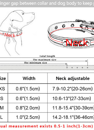 Personalized Alphabet Dog Collar